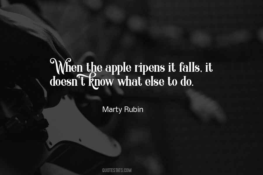 Syttende Mai Quotes #588118