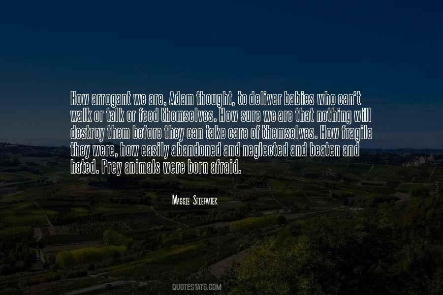 Berelson Democratic Theory Quotes #1394264