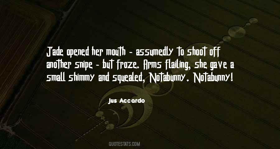 Dorde Martinovic Incident Quotes #1756025