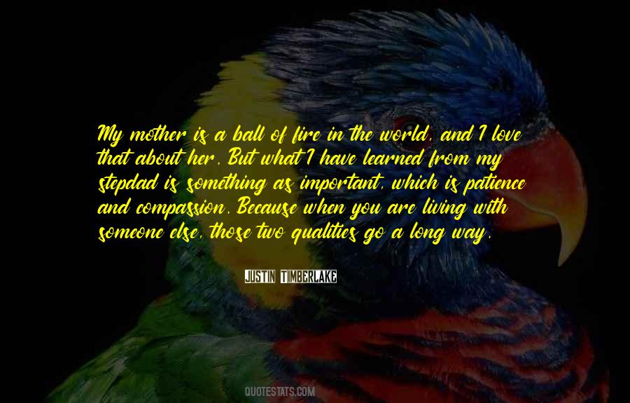 Quotes About Love Of A Mother #122043