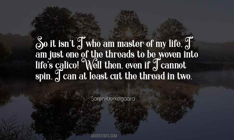Plumas District Quotes #687345