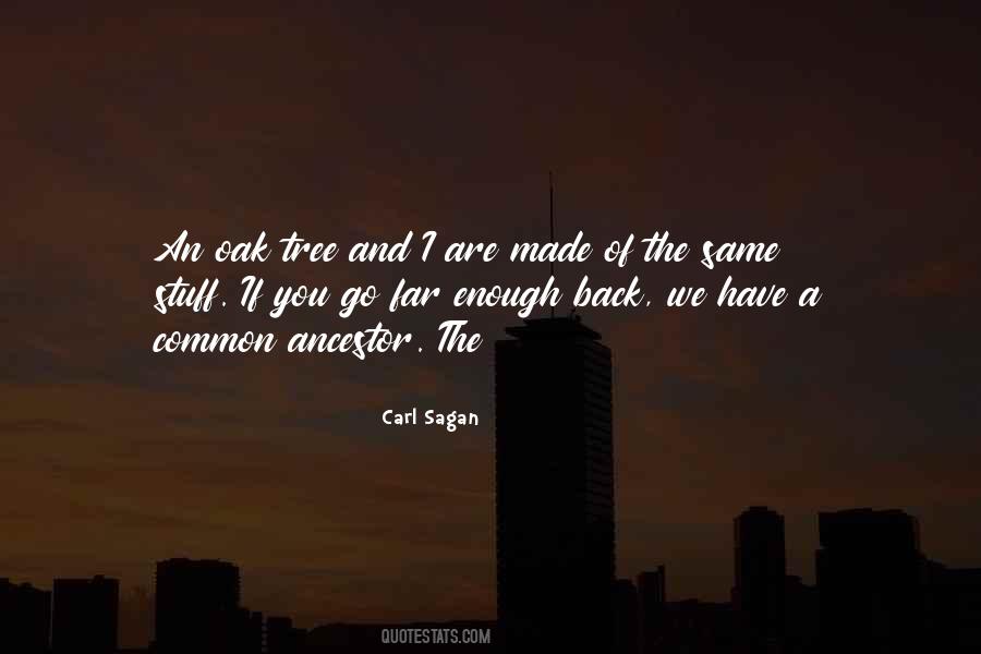 Chinery Tree Quotes #735784