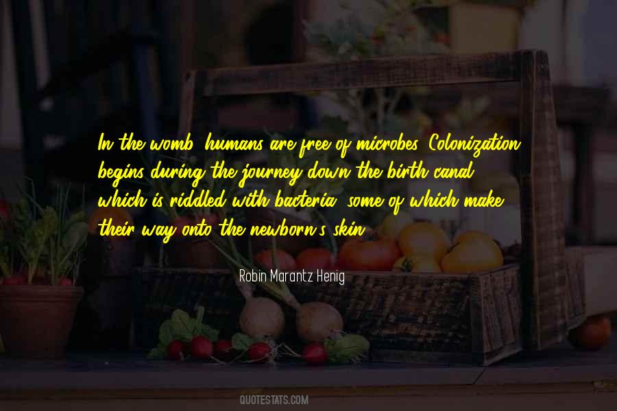 Brandauer Quotes #972094