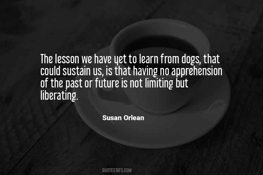 Lesson Learn Quotes #451025