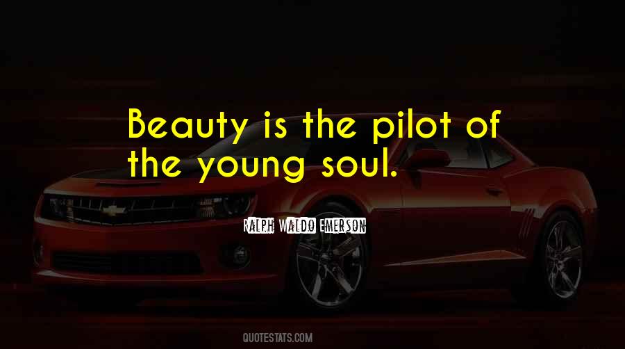 Heshmat Raissi Quotes #1537513