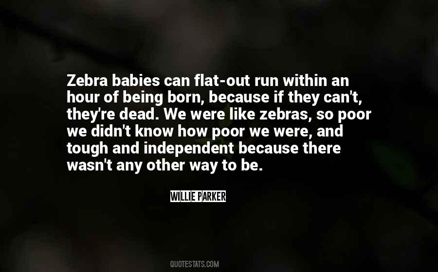 Born To Run Quotes #250483