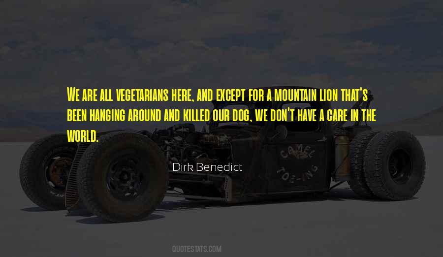 Mountain Lion Quotes #751160