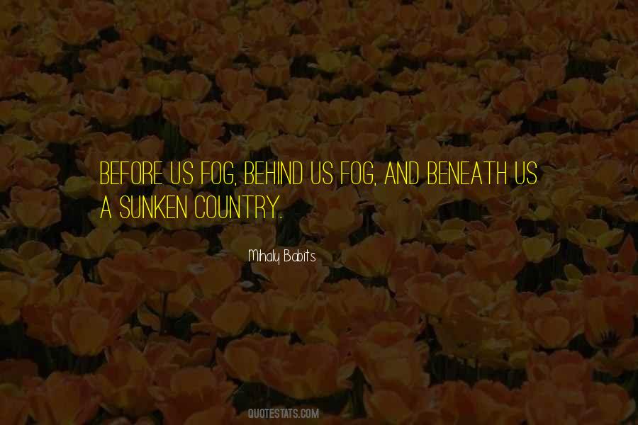 Adetokunbo Lucas Quotes #1591075