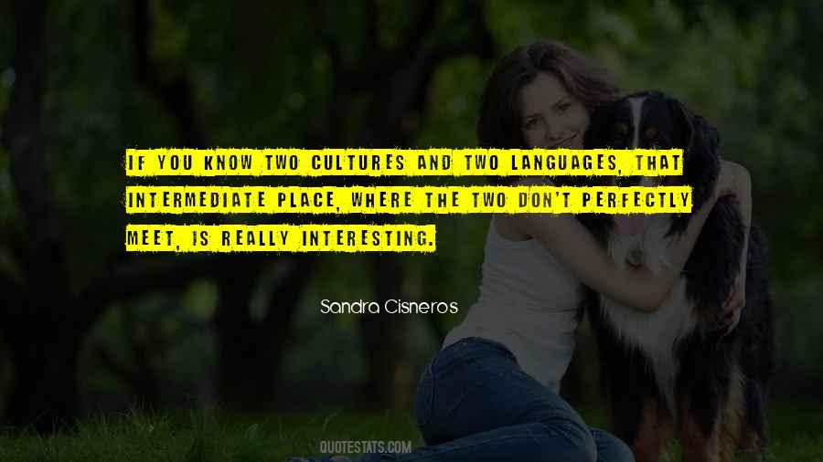 Culture Has Two Quotes #448377