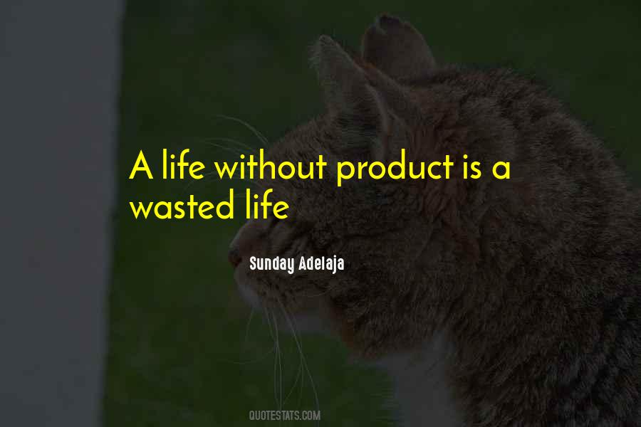 A Wasted Life Quotes #1110672