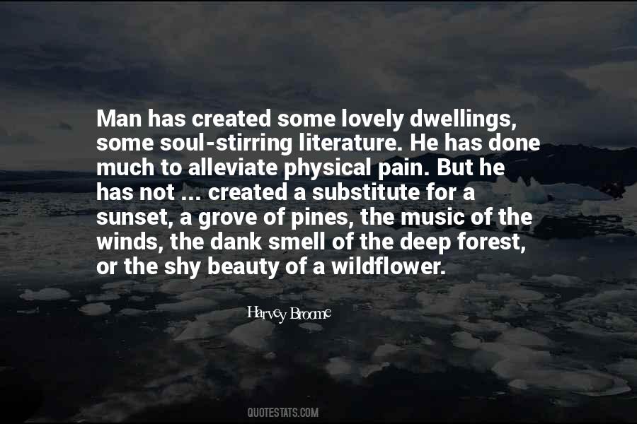 Quotes About The Soul Of A Man #293180