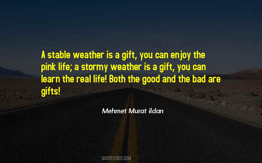 Both Good And Bad Quotes #603138