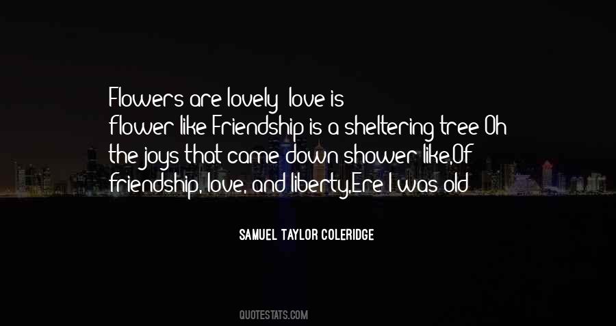 Quotes About Love Like Friendship #45142
