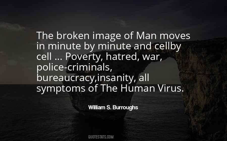 Mimulus Aurantiacus Quotes #684666