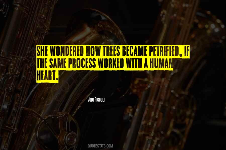 Pinzgauer Horse Quotes #156106