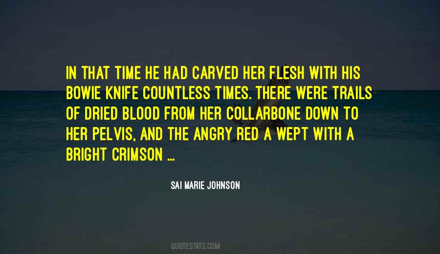 Bowie Knife Quotes #1116590
