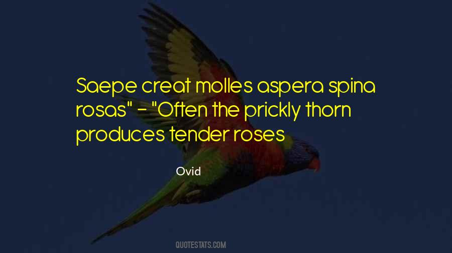 Conic Section Quotes #729449