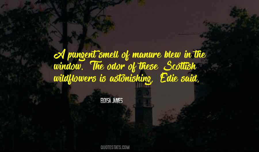 Sucesso Escolar Quotes #1462927