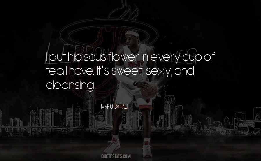 Jaufredus Quotes #248329