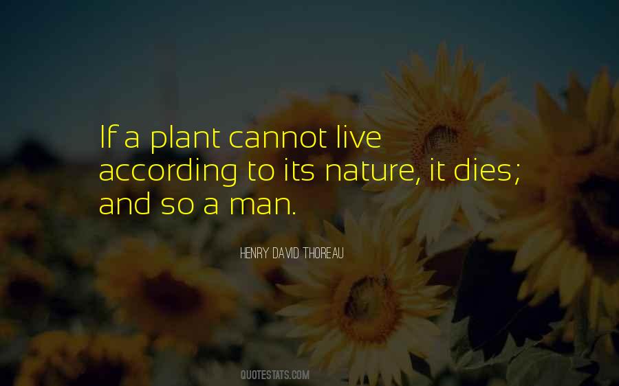 Buencamino Introvoys Quotes #1692987