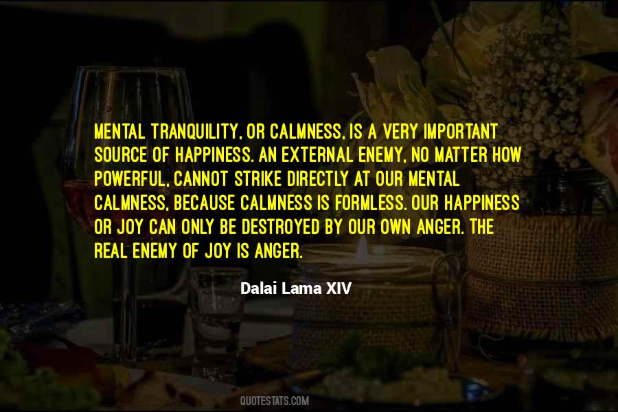Calmness And Happiness Quotes #196494