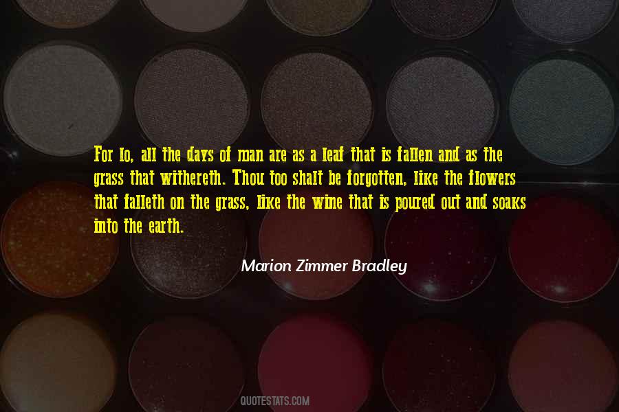 Bradley Quotes #56814