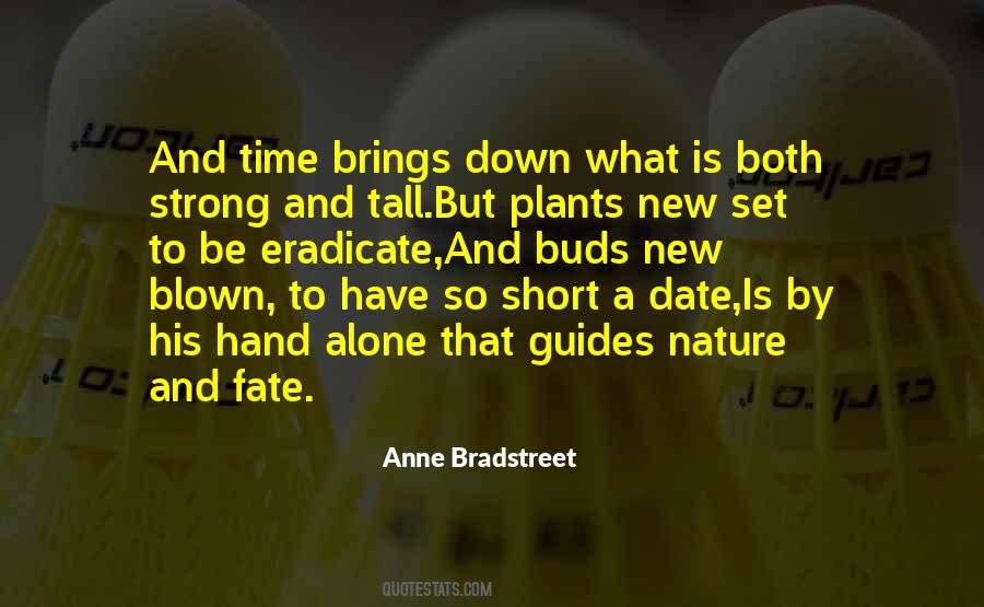 Bradstreet Quotes #1318075