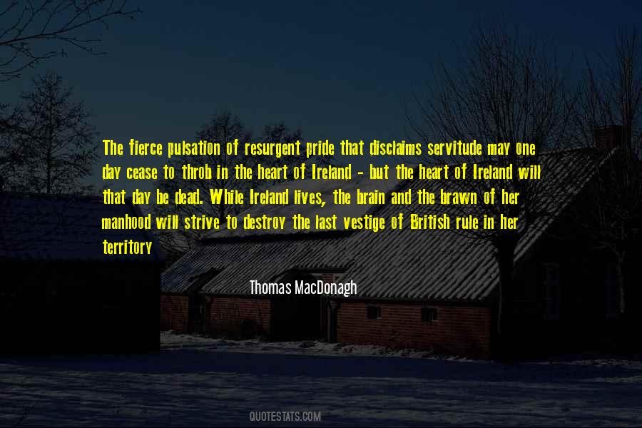 Brain And Brawn Quotes #1196637