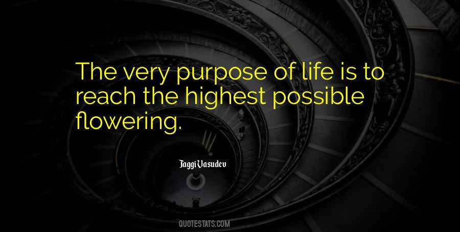 Kuduzovic California Quotes #143415