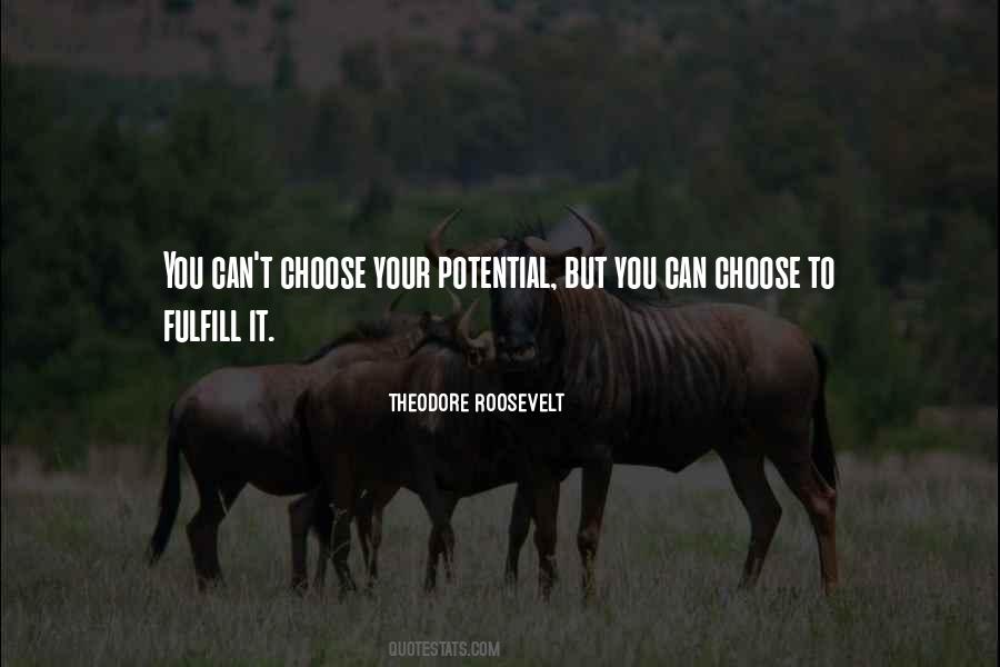 T Roosevelt Quotes #1100901