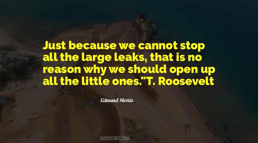 T Roosevelt Quotes #229614