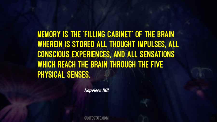 Brain Memory Quotes #907574