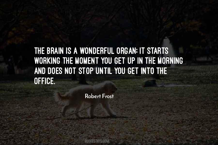 Brain Not Working Quotes #133258