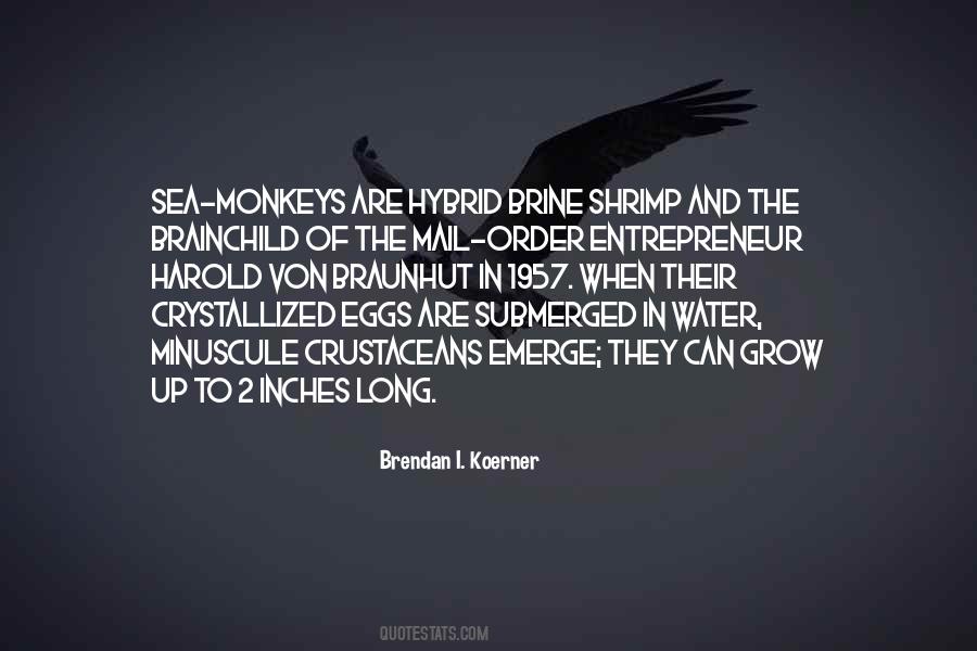 Brainchild Quotes #1858414