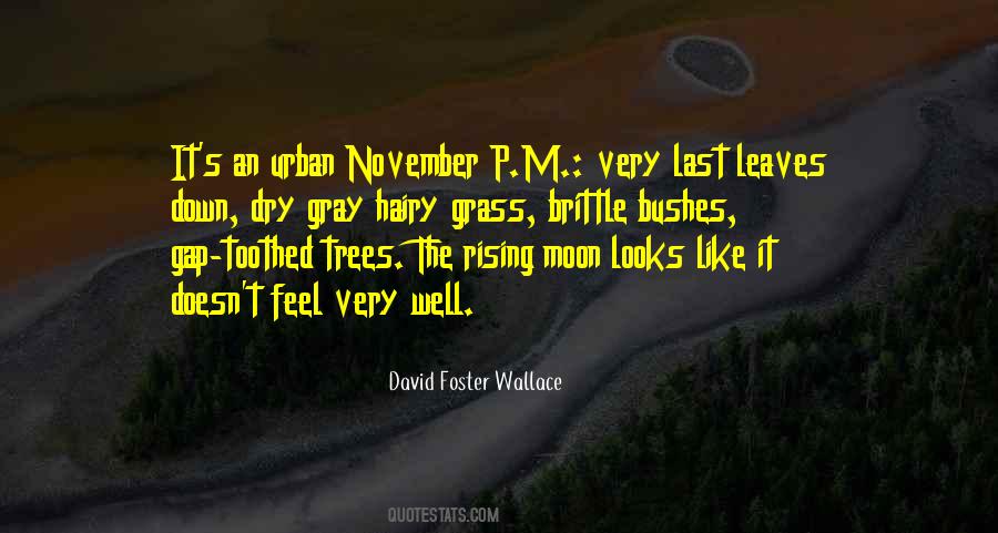 Banstead Tennis Quotes #1038464