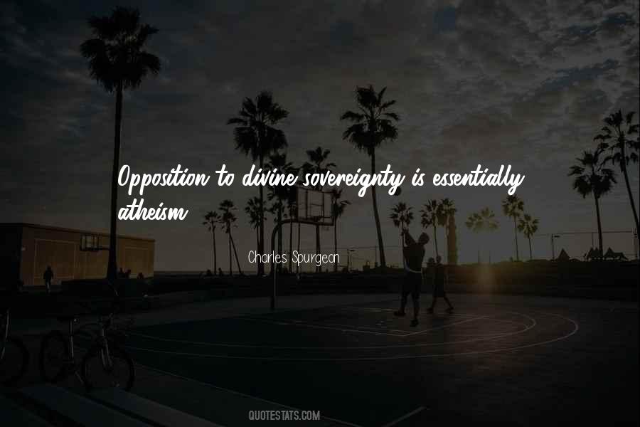 Chula Y Cabrona Quotes #413029