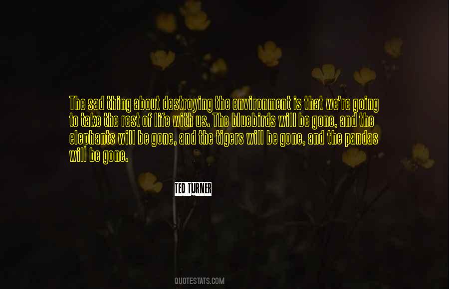 1jn1 Quotes #666132