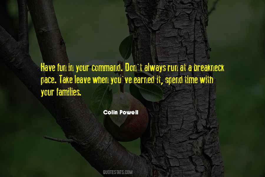 Elegant Universe Quotes #1516474