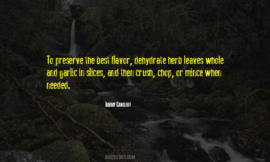 Sarlin Steron Quotes #316168