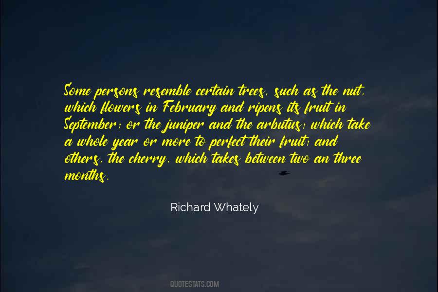 Equivocal Stress Quotes #668494