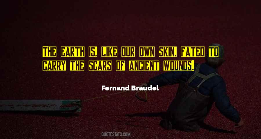 Braudel Quotes #73504