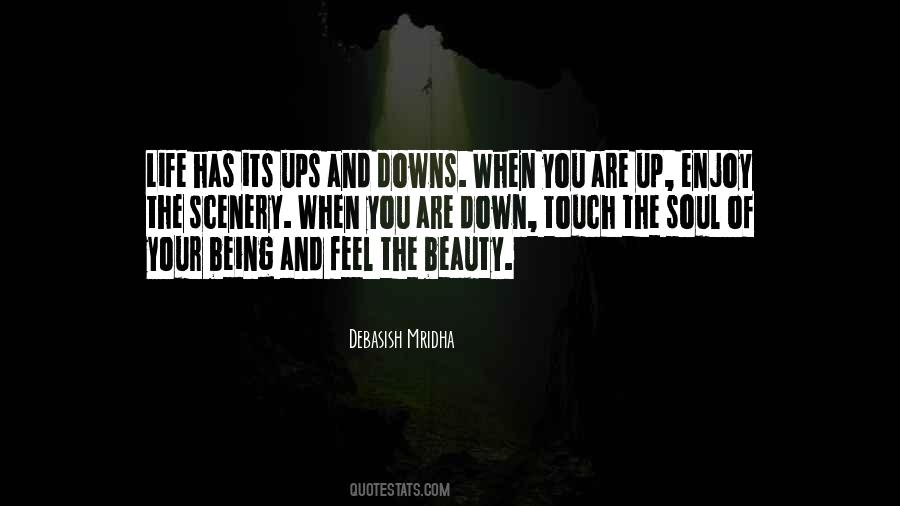 Enjoy The Ups And Downs Of Life Quotes #1507228