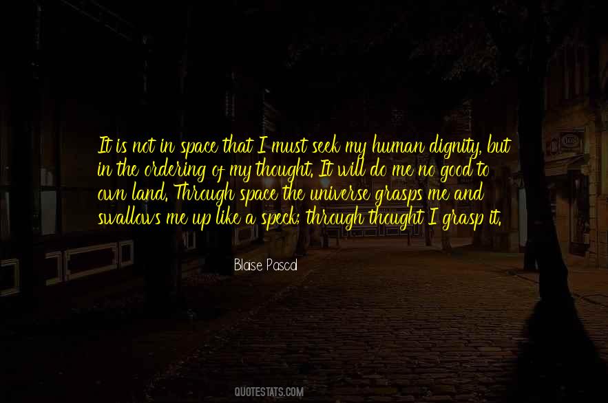 Scindere Significato Quotes #1136067