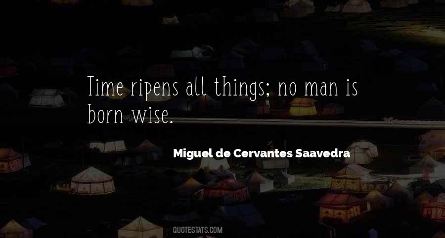 Merlano Olive Oil Quotes #793529