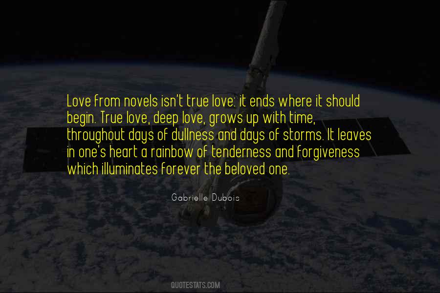 Quotes About Love From Novels #1205505