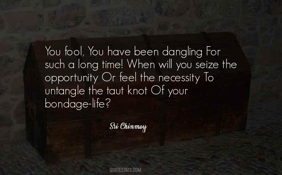 Cardullo University Quotes #680215
