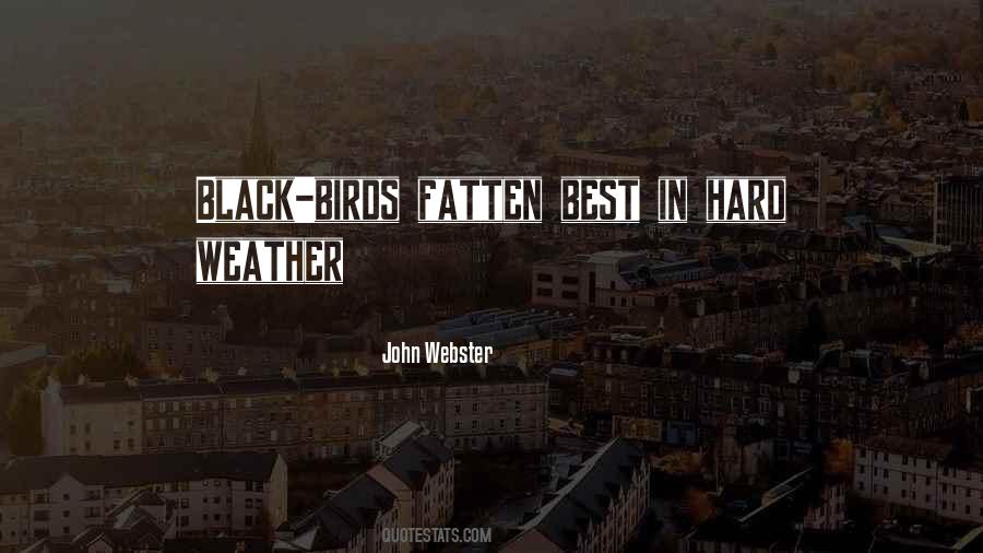 Esterco De Galinha Quotes #645366