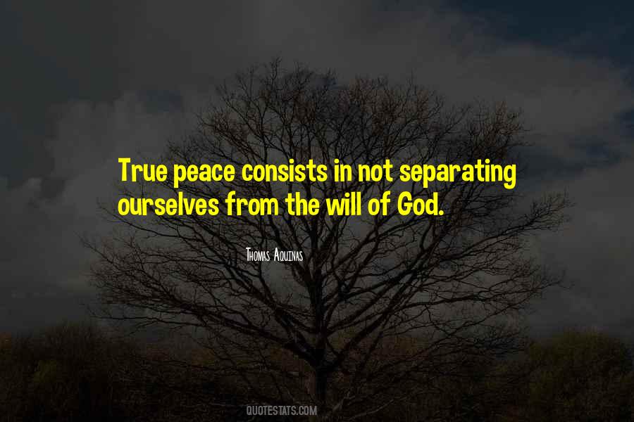 True Peace Quotes #1600066