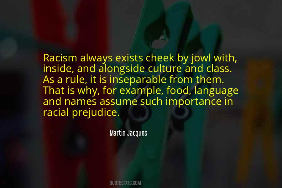 Racism And Culture Quotes #924103