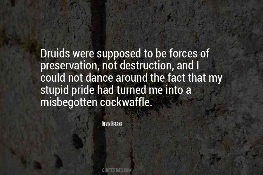 Observare Insecte Quotes #551183
